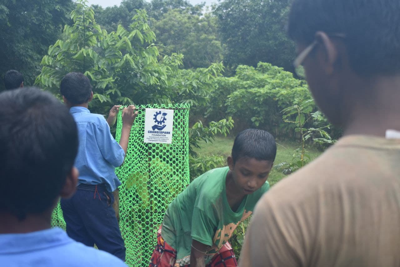 Green Gyan Gallery Image 4